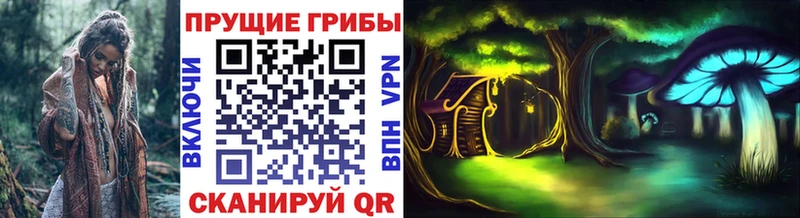 Галлюциногенные грибы Cubensis  omg как войти  Туймазы  закладка 